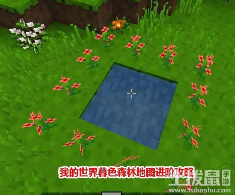 我的世界暮色森林地图进阶攻略 暮色森林全面攻略