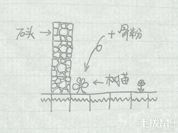 我的世界生活小技巧汇总